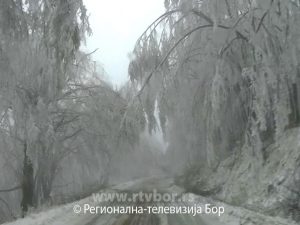 68497d6cb194485d2759fde9466457b7