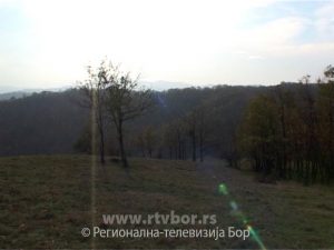 041f8ef5b15effcb1dc4f41914f9679e