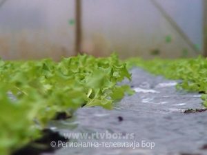 a4d75127215f52c18ccd5844527298c4
