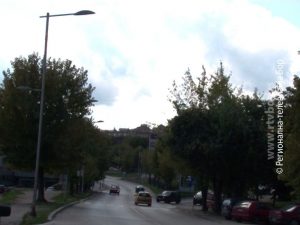 06e08456cae95b8f473a5fceb1446e36