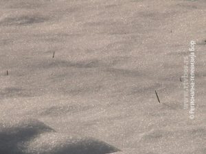 973d452191c64a038927e95436dac7d2