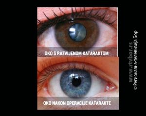 ff9a561ab68b1f1386f01d7c7cb30cfe