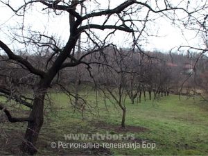 5d6b6306cfec933ce38306cd828210d5