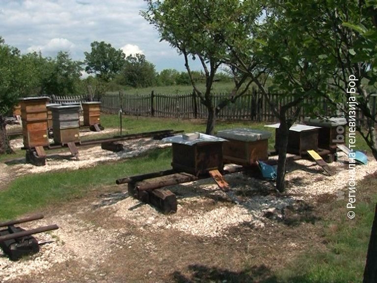 5c91a686d68a775f6fde895429fb6b80