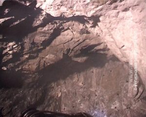 ae05ff4be8494f612aaf8a5eda886c09