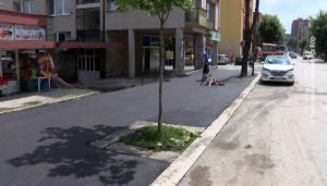 19062019_Asfaltiranje