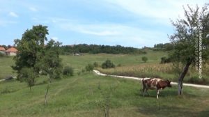11072019_Zakup_poljoprivrednog_zemljista