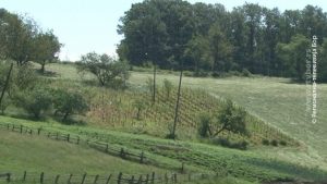15072019_Snimanje_poljop_parcela