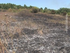 09082019_Zaoravanje_zetvenih_ostataka
