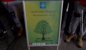 20112019_projekat_Dom_omladine_sadnice