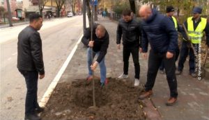 30112019_ozelenjavanje