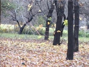 15122019_vreme