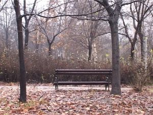 23122019_vreme