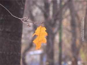 05012020_Vreme