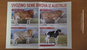 12012020_steonejunice