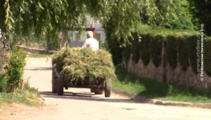 06062020_Poljoprivredne_mere__MAJDANPEK_vtr_off_5_6.avi.Still001