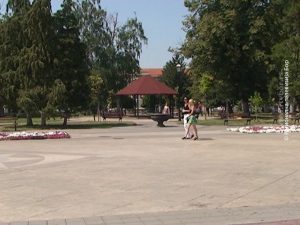 11082020_negotin