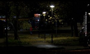 18112020_LED_rasveta_parkici
