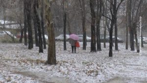 20122020_Zima