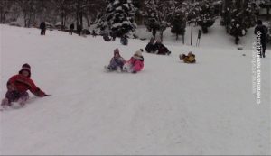 16012021_raspustnasnegu