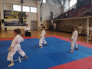 31032021_karate