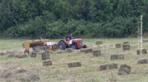 30052021_Scap_projekat_subvencije_poljoprivredi_vtr_off_arhiva_8_4.avi.Still001