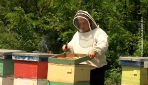 07062021_Subvencije_pcele