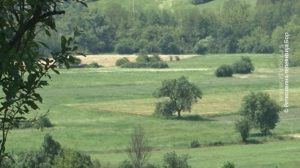 05072021_Zakup_poljoprivrednog_zemljista_vtr_off_ARHIVA.avi.Still001