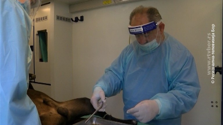 13072021_Rad_ambulante_za_sterilizaciju_pasa_-vtr_off13_7.avi.Still001