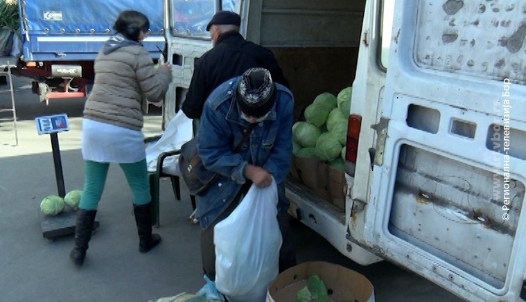 20112021_Kupus