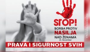 23112021_Nasilje_u_porodici_MAJDANPEK
