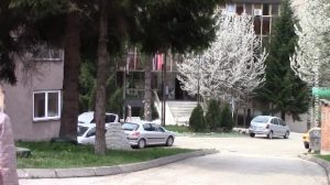 02122021_Dom_zdravlja_Majdanpek_i_dalje_mirno_epidemioloski_vtr_off_MAJDANPEK_13_4.avi.Still001