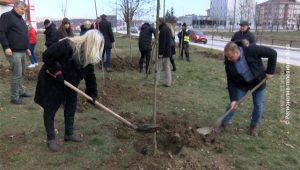 15122021_Sadnja_sadnica_kod_kapije_grada_vtr_off_15_12.mpg.Still001
