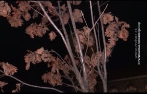 05012023_Badnji_dan