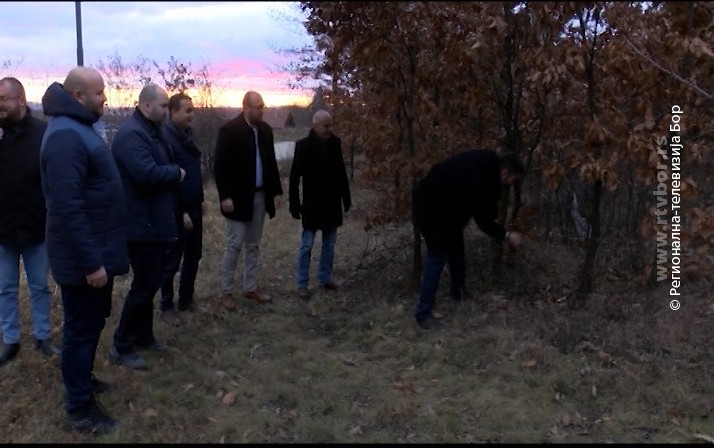 06012023_secenje_badnjaka