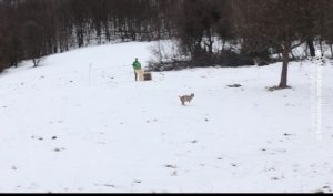03022023_Ris_na_slobodi