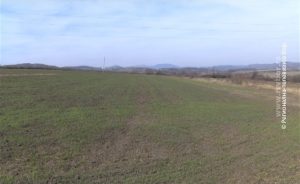 29042023_Usevi_setva_njive_poljoprivreda