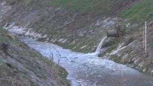 26082023_Projekat_cista_Srbija_MAJDANPEK