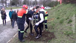 17032024_sadnja_drveca