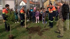 21032024_sadnja_drveca_bambi