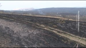 06042024_ne_pali_strniku