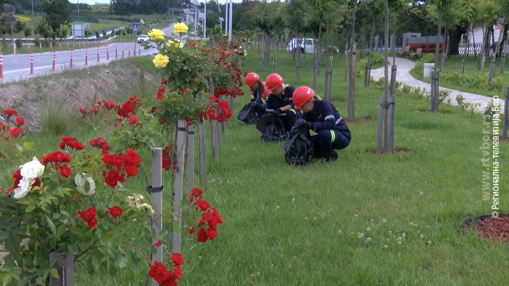 05062024_ciscenje_cukaru_peki