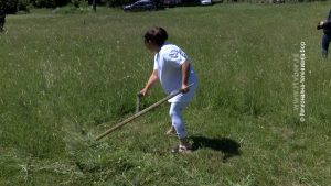 15062024_kosidba_na_stolu