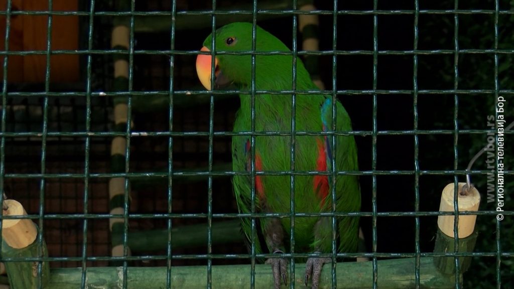 20072024_zoo_vtr_bor