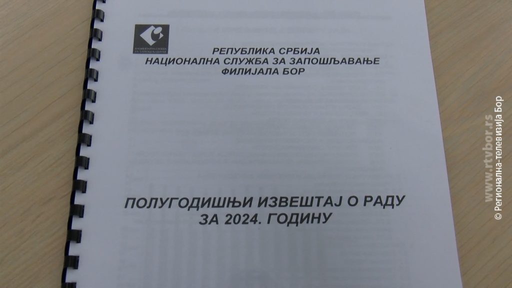 200852024_izvestaj_nsz