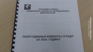 200852024_izvestaj_nsz
