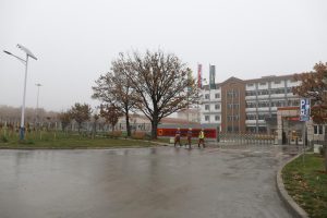 Zi Jin mining doo Bor