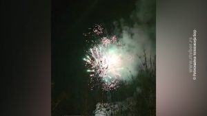 29012025_kineska_nova_godina