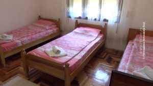 24022024_boravisna_majdanpek