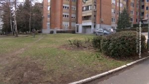 12032024_zelenilo